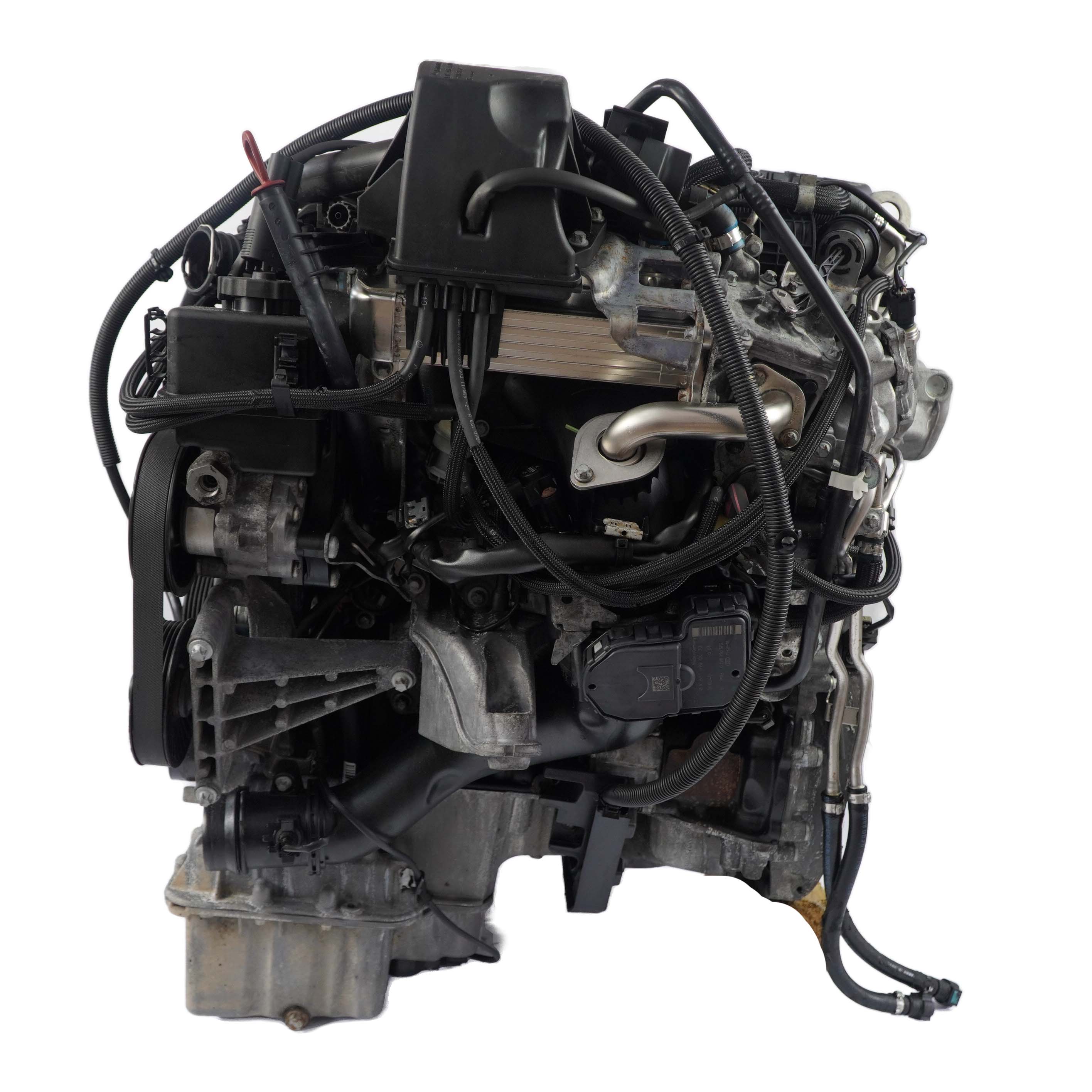 Motor 651955 Mercedes Sprinter W906 Kompletter Motor 651.955 95000 km, GARANTIE